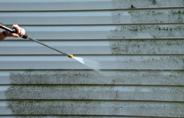 Best Roof Cleaning and Mildew Removal in Corning, NY